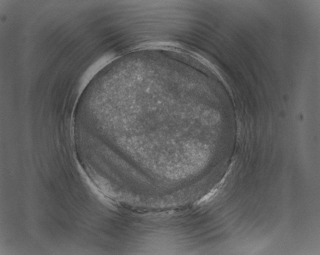 X0000067891050200605041547