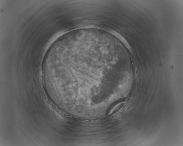 X0000067891051200605041547