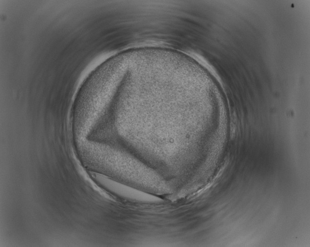 X0000067891053200605041547