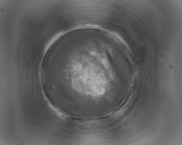 X0000067891054200605041547