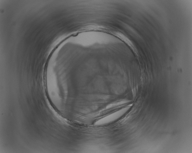 X0000067891055200605041547