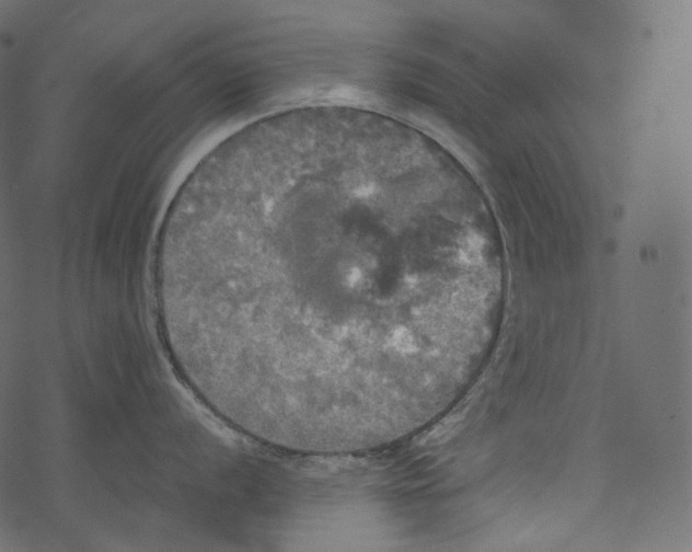 X0000067891056200605041547