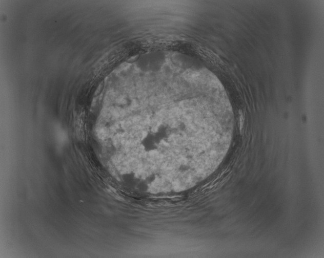 X0000067891059200605041547