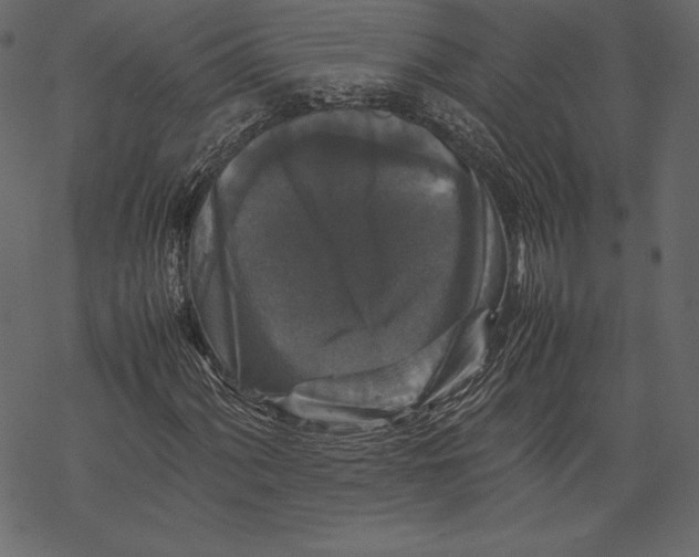 X0000067891060200605041547