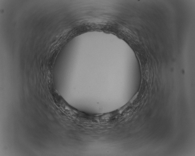 X0000067891061200605041547