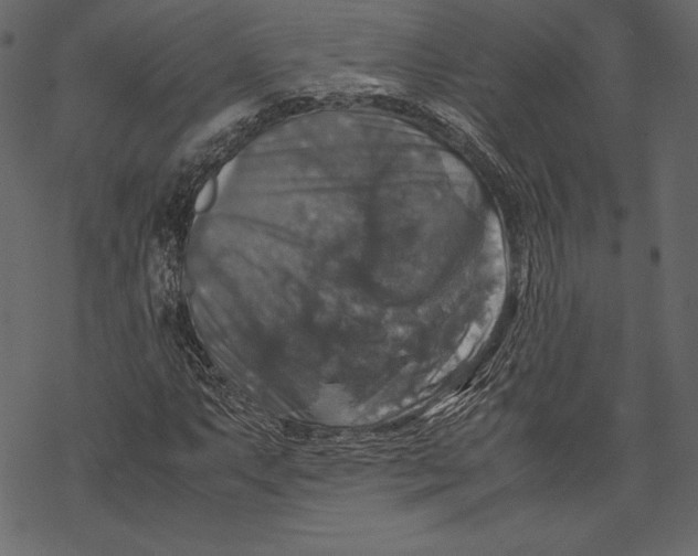 X0000067891063200605041547