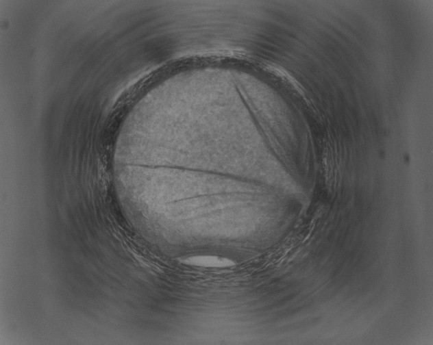 X0000067891064200605041547