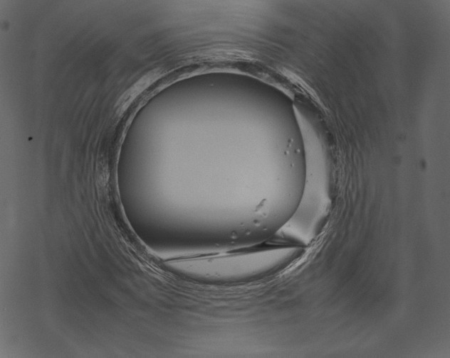 X0000067891065200605041547