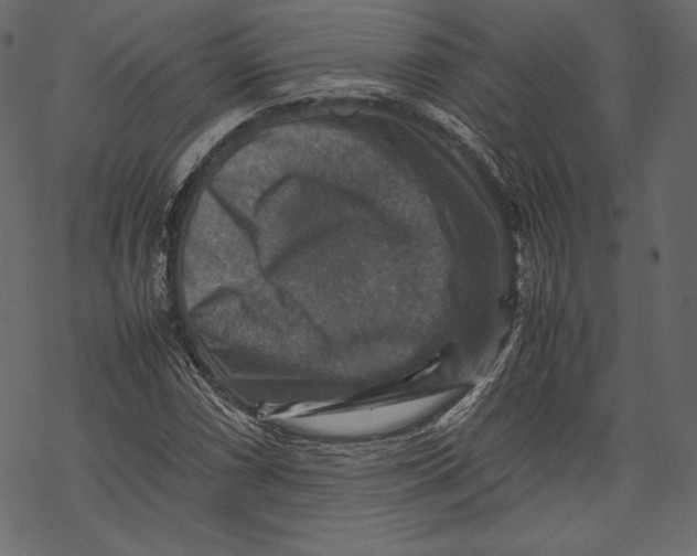 X0000067891066200605041546