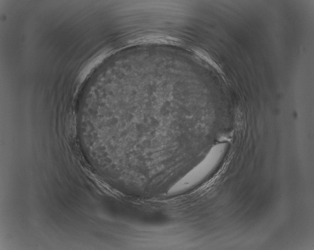 X0000067891067200605041546