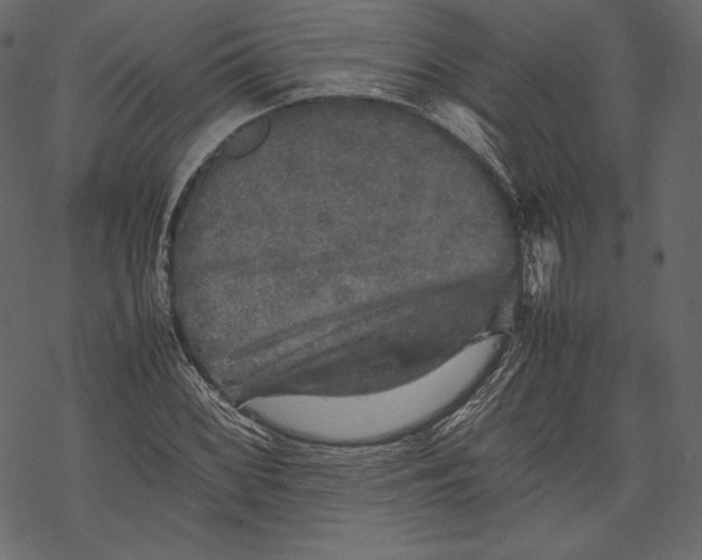 X0000067891068200605041546