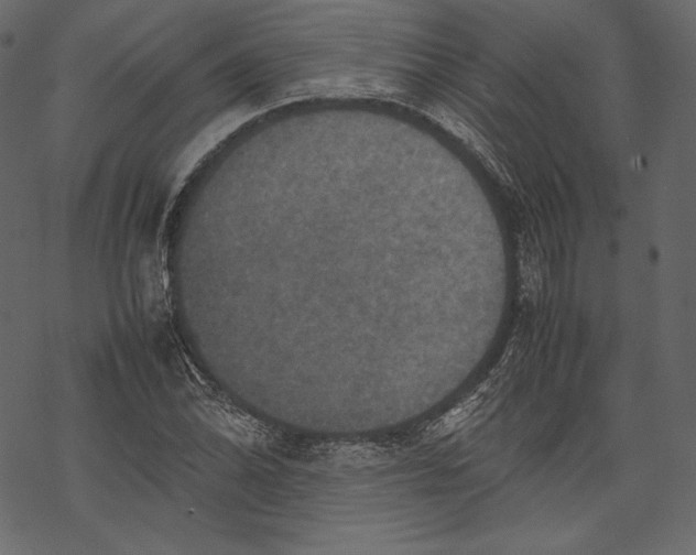 X0000067891070200605041546