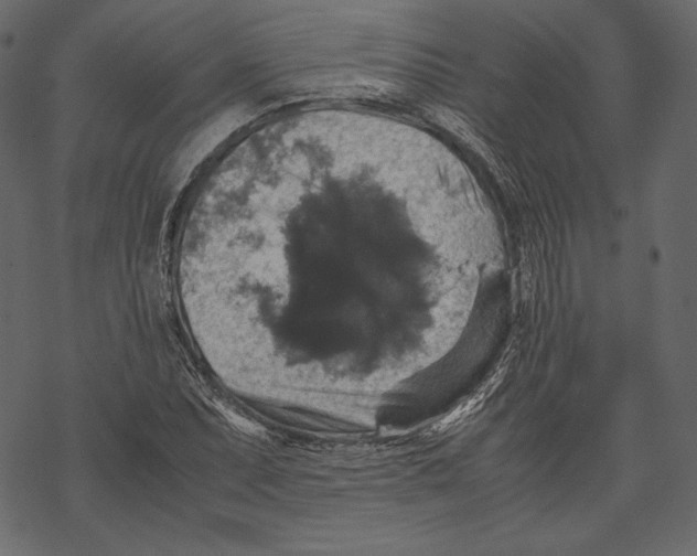 X0000067891071200605041546