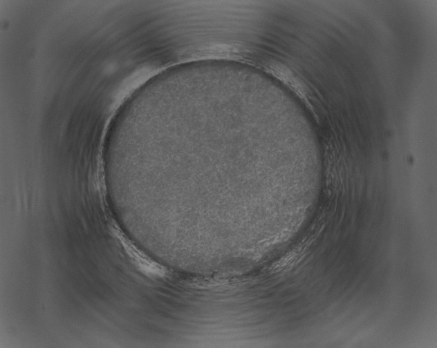 X0000067891072200605041546