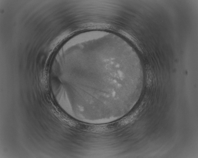 X0000067891074200605041546