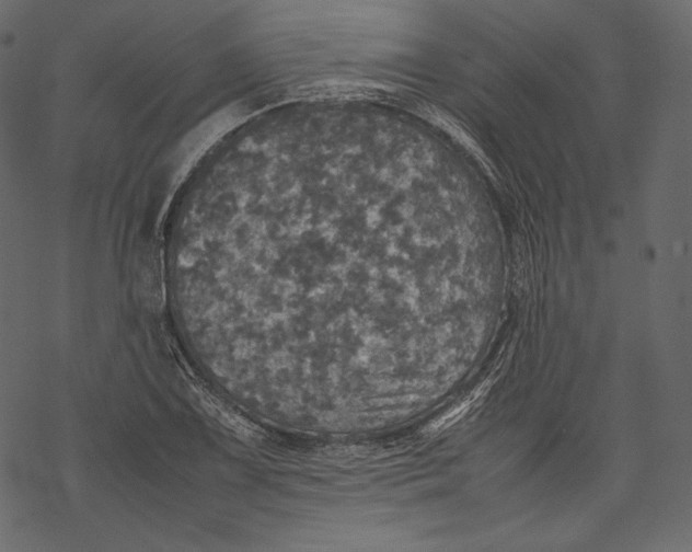 X0000067891075200605041546