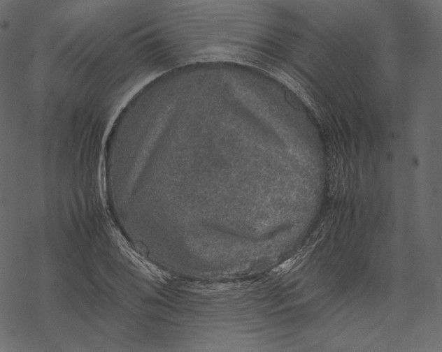 X0000067891076200605041546