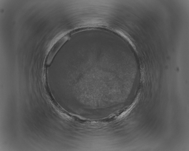 X0000067891077200605041546