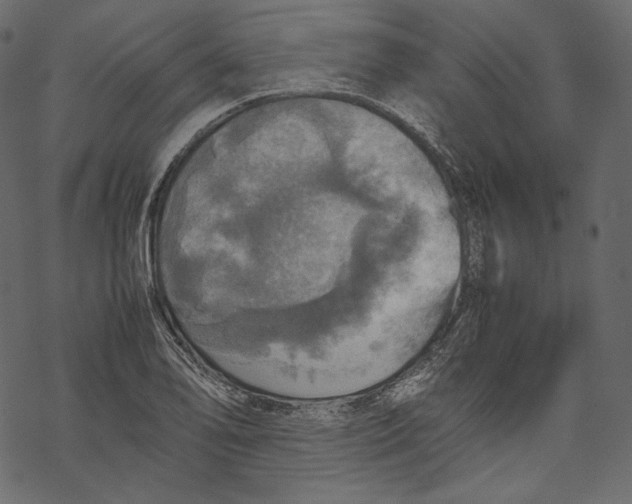 X0000067891078200605041546