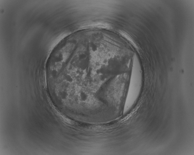 X0000067891079200605041546