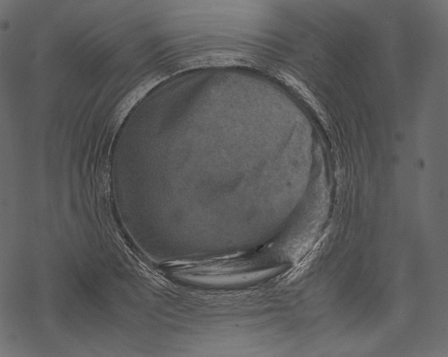 X0000067891081200605041546