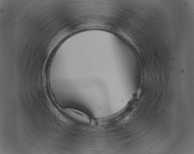 X0000067891082200605041546