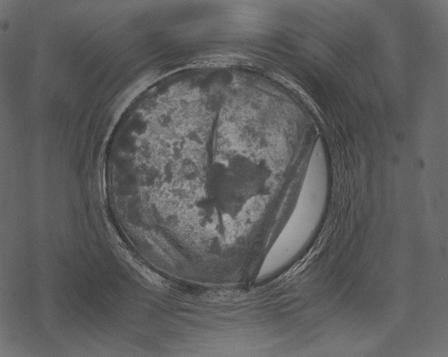 X0000067891083200605041546