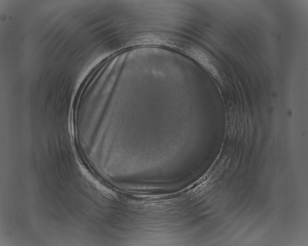 X0000067891084200605041546