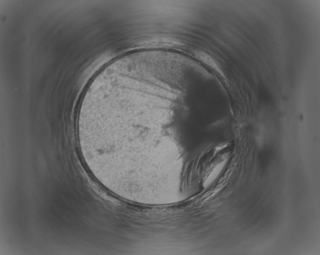 X0000067891087200605041546