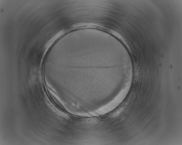 X0000067891090200605041546