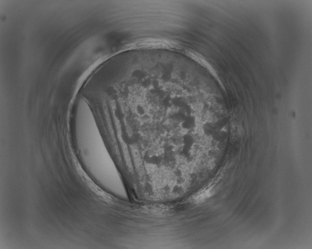 X0000067891091200605041546