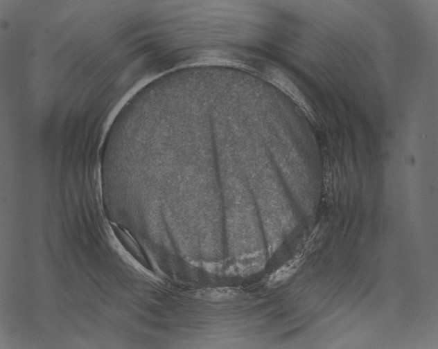 X0000067891092200605041546