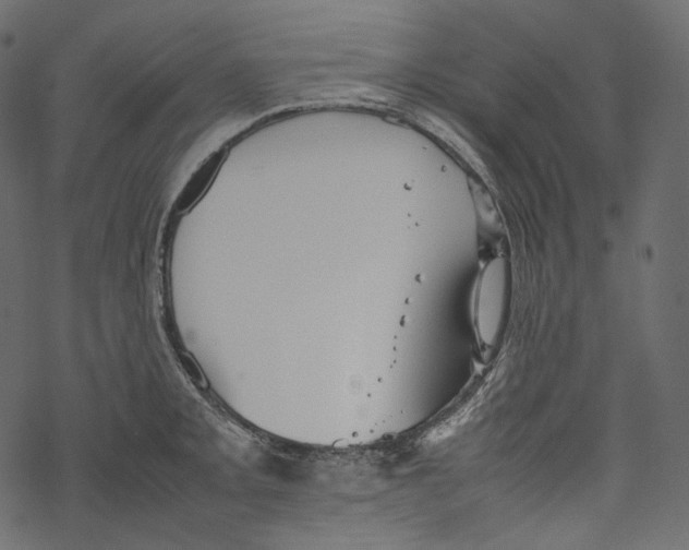 X0000067891093200605041546