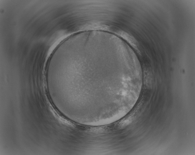 X0000067891094200605041546