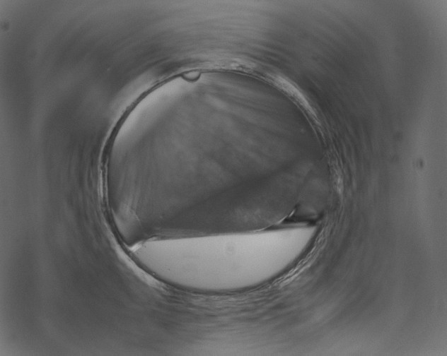 X0000067891095200605041546