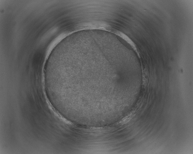 X0000067891096200605041546