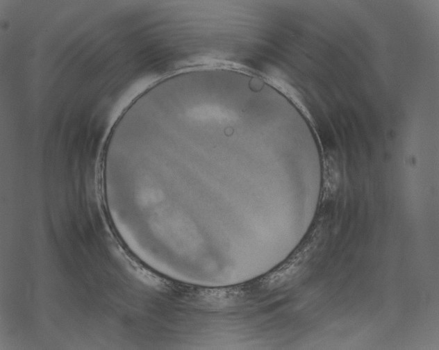 X0000067891098200605041546