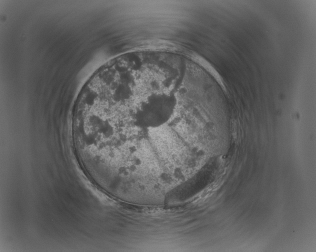 X0000067891099200605041546