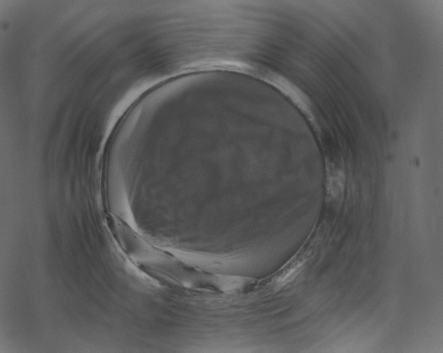 X0000067891102200605041546