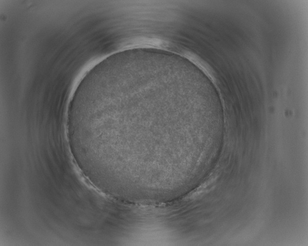 X0000067891104200605041546