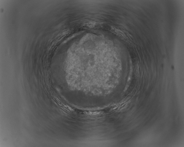 X0000067891105200605041545