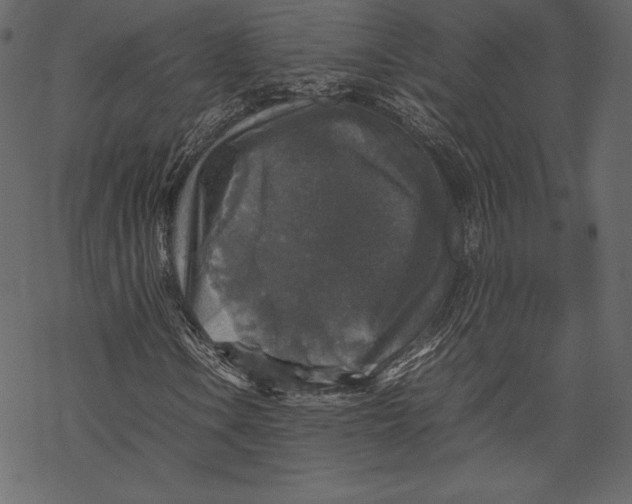 X0000067891106200605041545