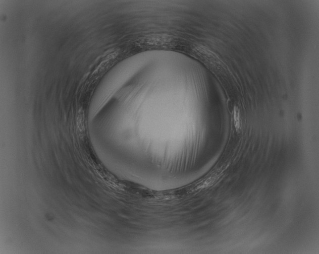 X0000067891107200605041545