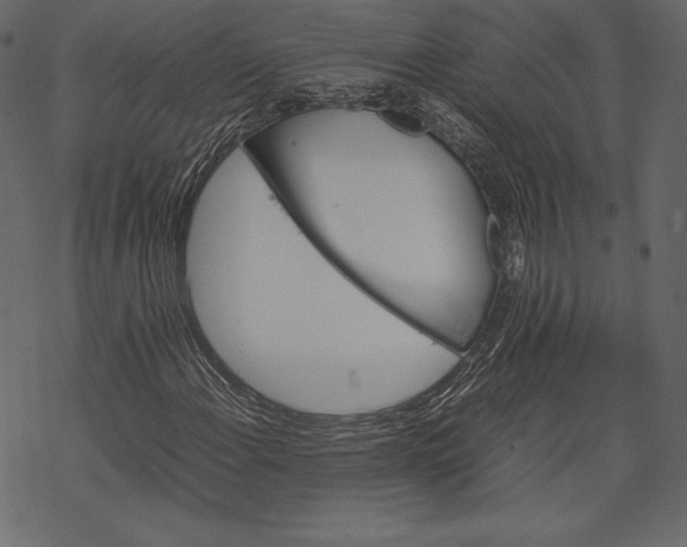 X0000067891108200605041545