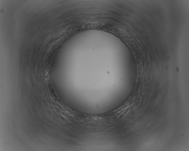 X0000067891109200605041545