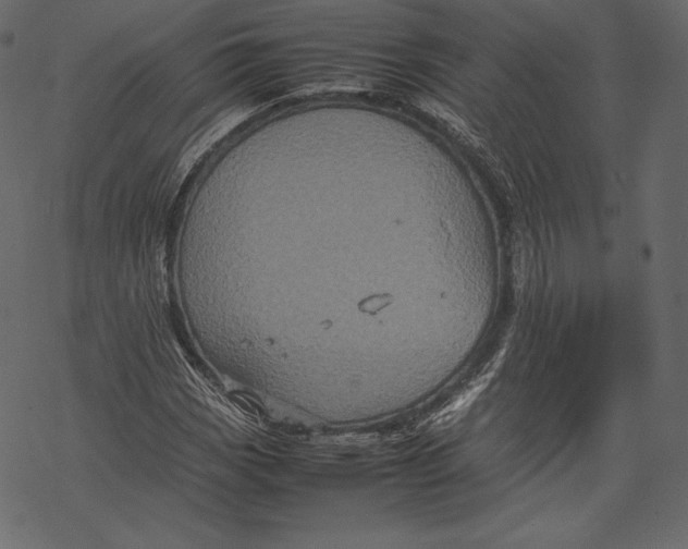 X0000067891113200605041545