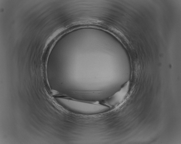 X0000067891114200605041545