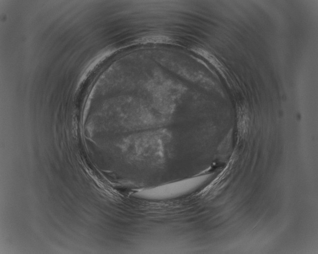 X0000067891115200605041545