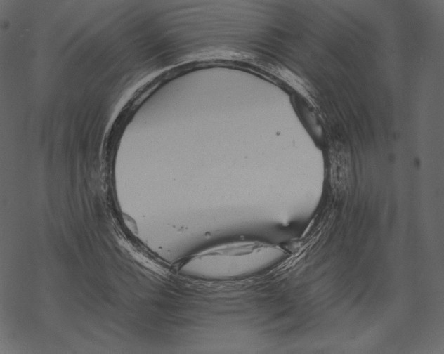 X0000067891116200605041545