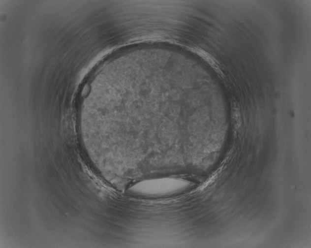 X0000067891118200605041545